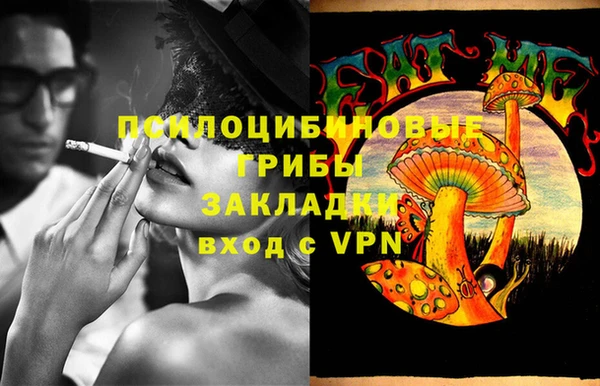 кокс Алзамай