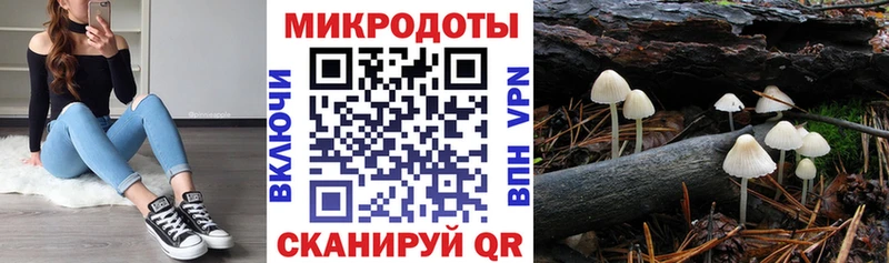 Псилоцибиновые грибы MAGIC MUSHROOMS  мега онион  Николаевск-на-Амуре  купить наркотики цена 